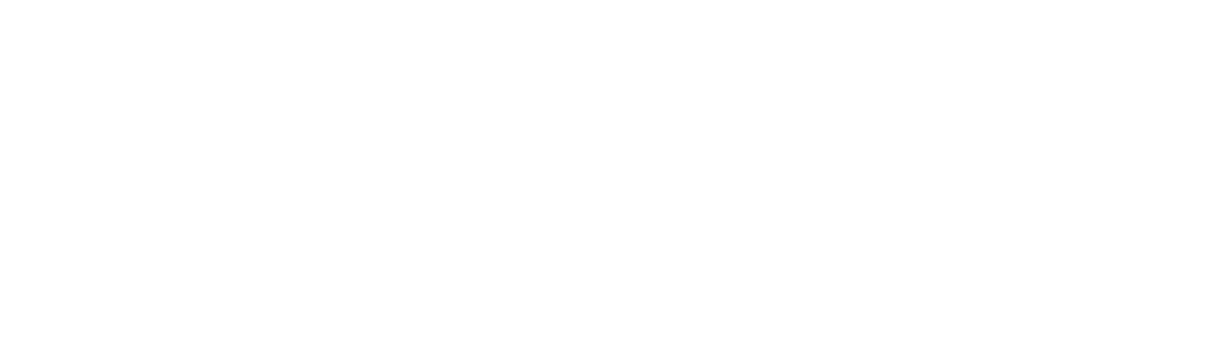 airdog-logo-weiss
